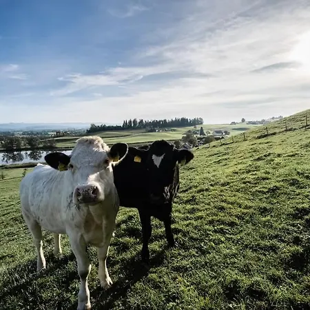 Apartamento Mondholzliebe Eg *