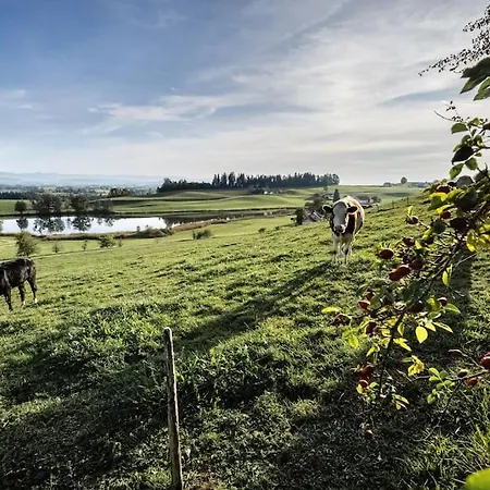 Apartamento Mondholzliebe Eg Argenbuhl